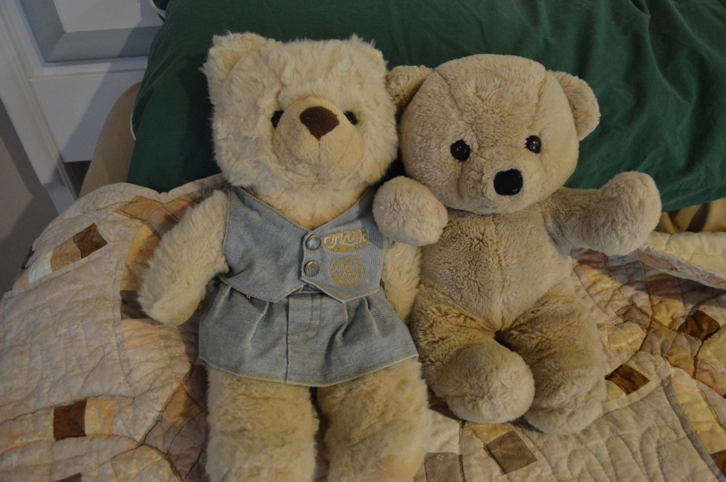 matching couple teddies