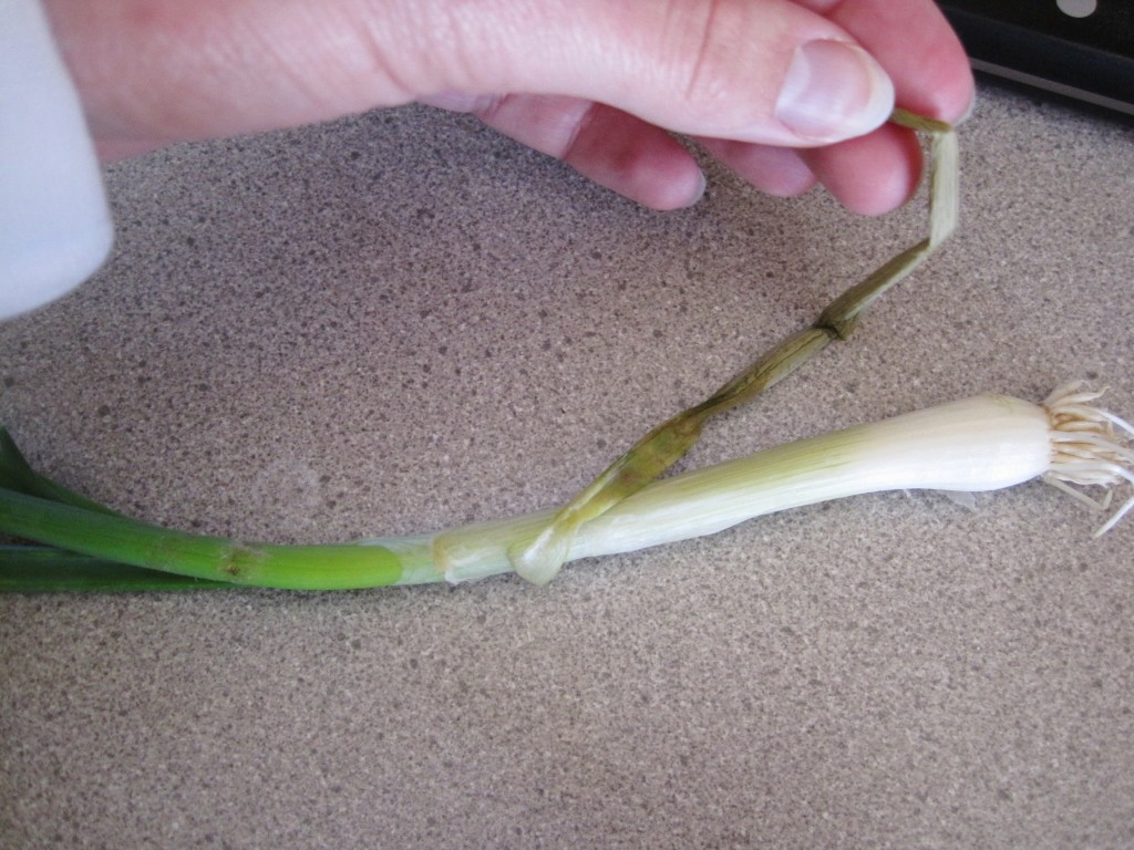 Grow, Grow, Gadget Green Onions - Loving Here