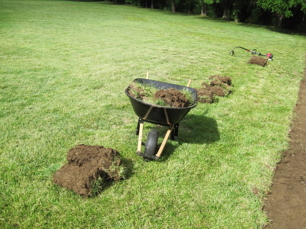 Creating a Garden Bed - Sod Stripping 101 - Loving Here