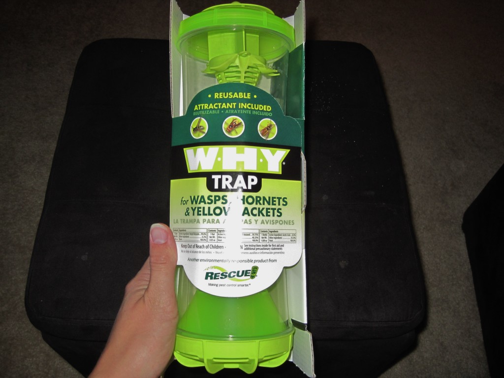WHY Wasp Trap