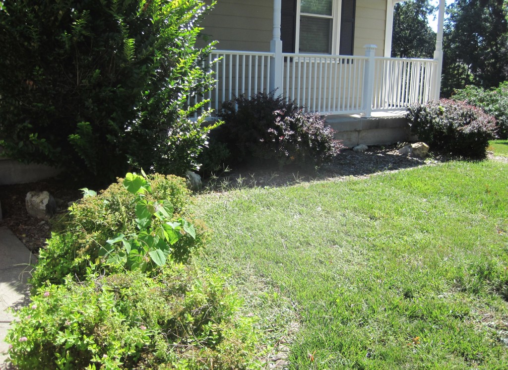 Front Yard Landscaping Before