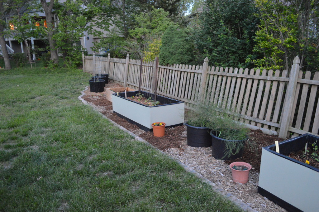 Planted Garden Beds 2014