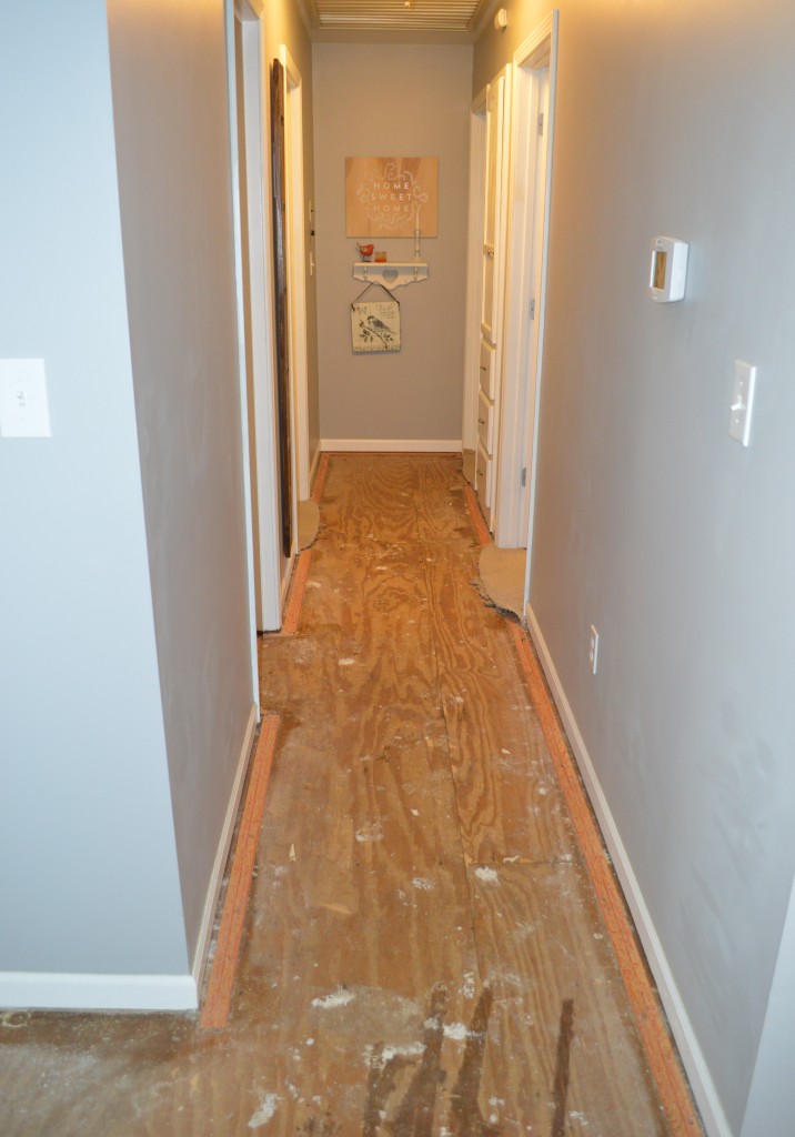 Demo Flooring Removing Carpet