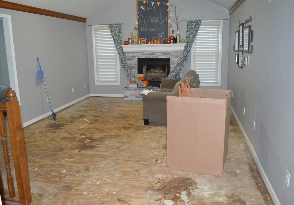 Demo Flooring Removing Carpet Living Room