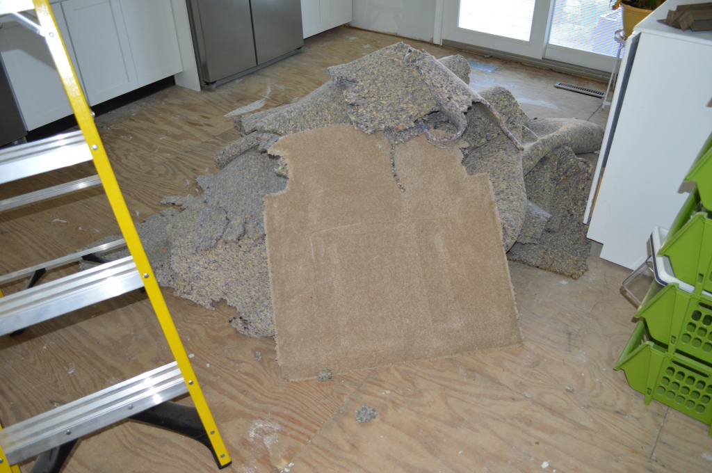 Demo Flooring Removing Carpet Pad