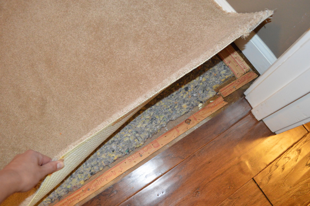 Flooring Bedroom Door Carpet 2