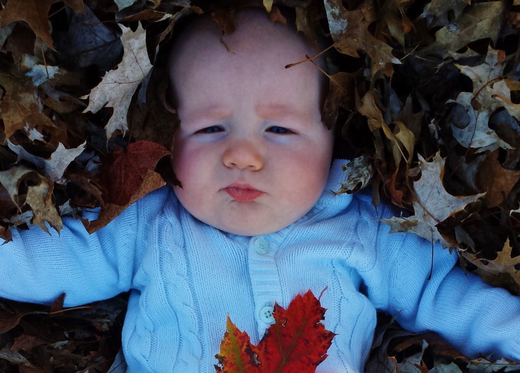 Will in leaves