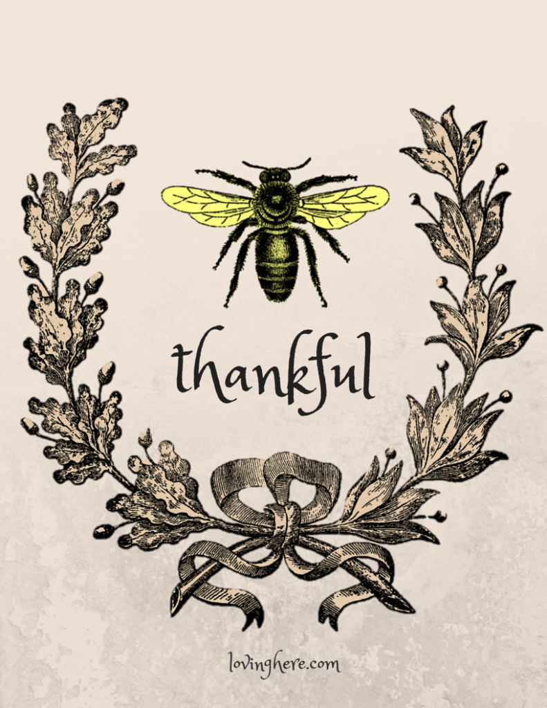bee thankful