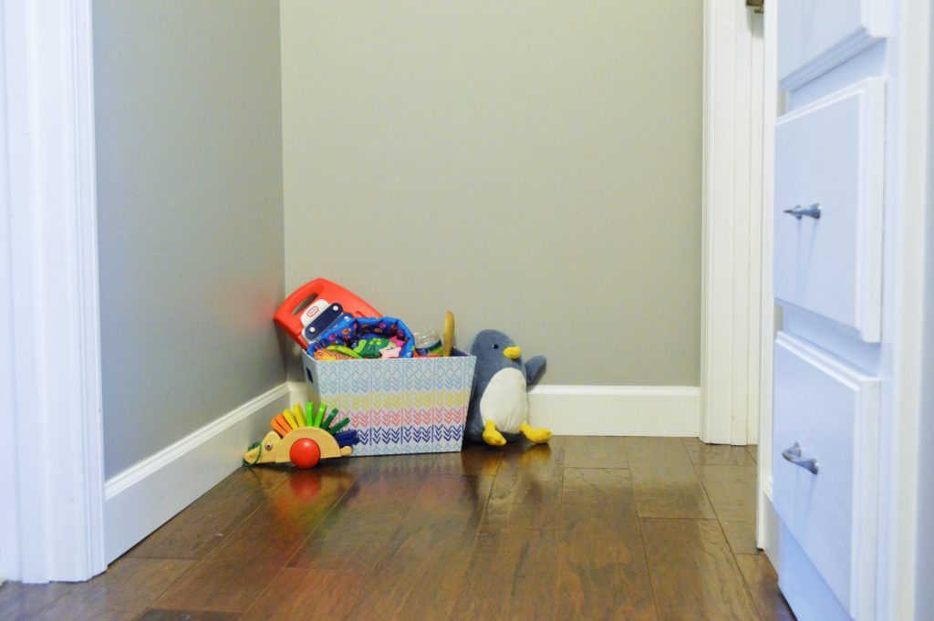 Toy Storage in Hallway 2