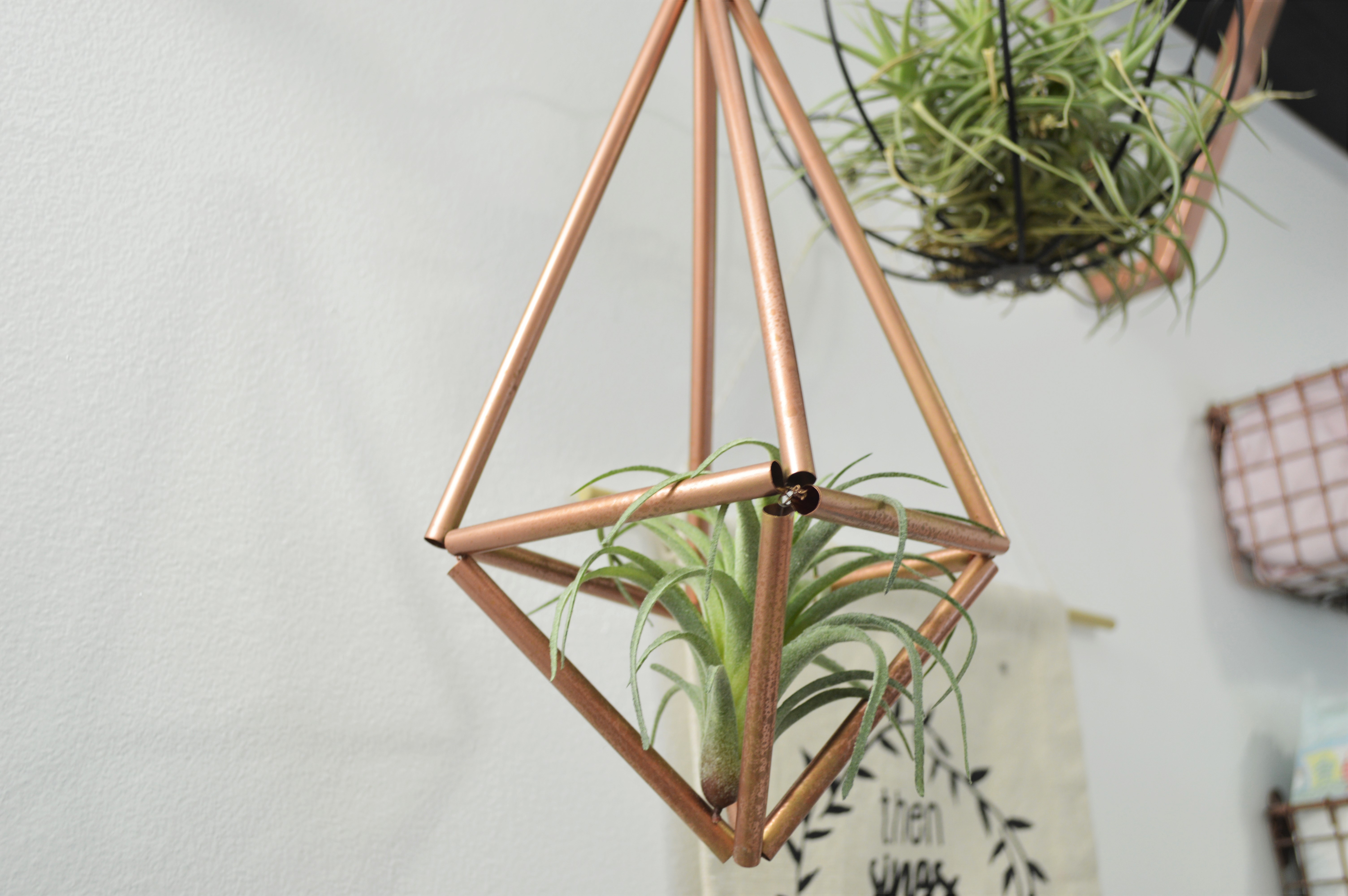 New Nursery Wall Art + DIY Hanging Air Plant Holder Tutorial - Loving Here